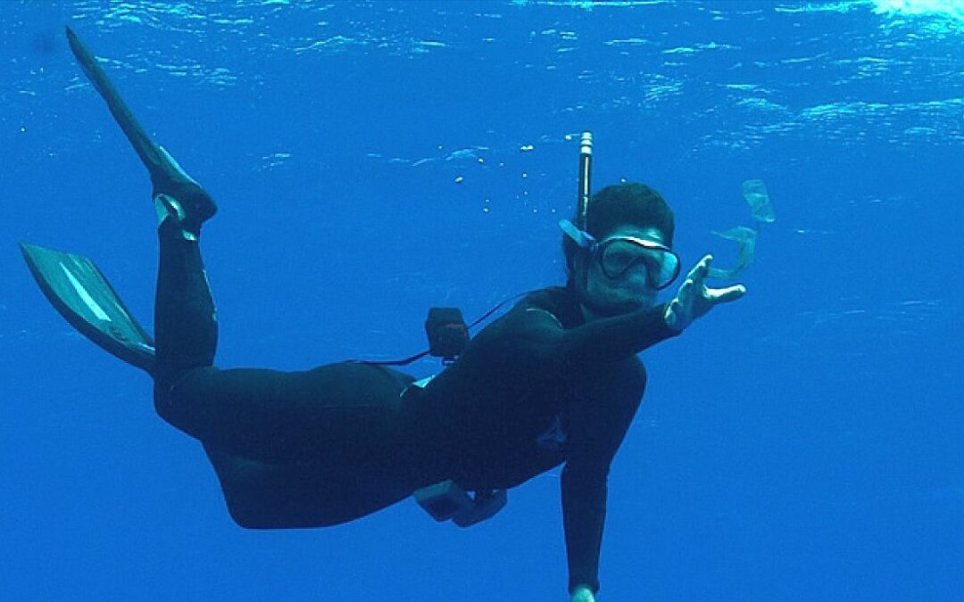 Tout savoir sur les legs