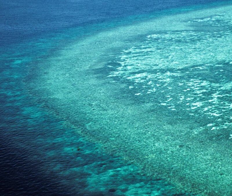 Tout savoir sur l&rsquo;assurance-vie